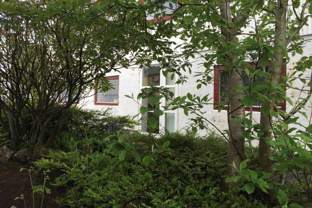 The Perfect Base In Torshavn公寓 外观 照片
